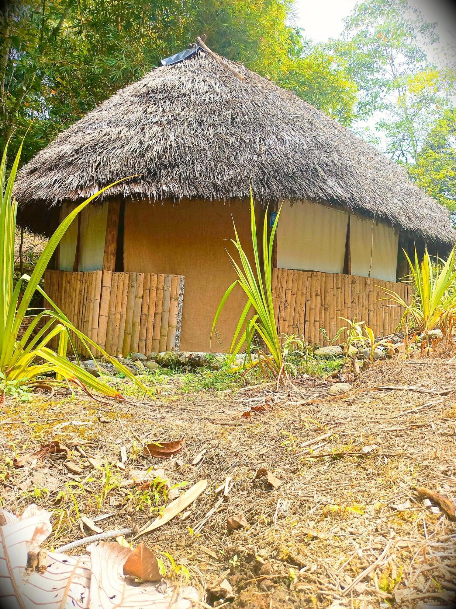 Hotel Hosteria Cacique Wasi à Puyo Extérieur photo