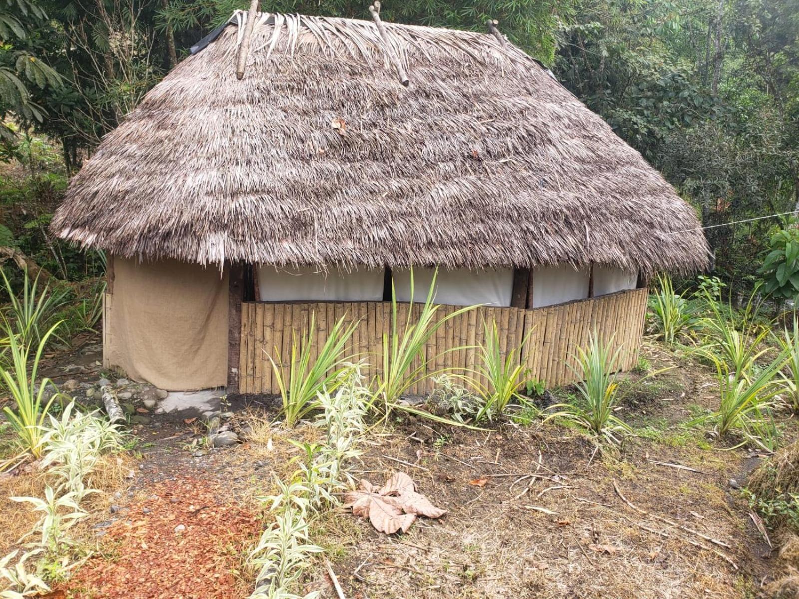 Hotel Hosteria Cacique Wasi à Puyo Extérieur photo